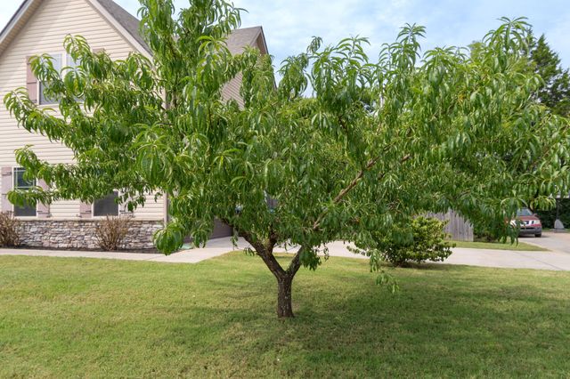 1504 Halverson Dr, Murfreesboro, TN 37128