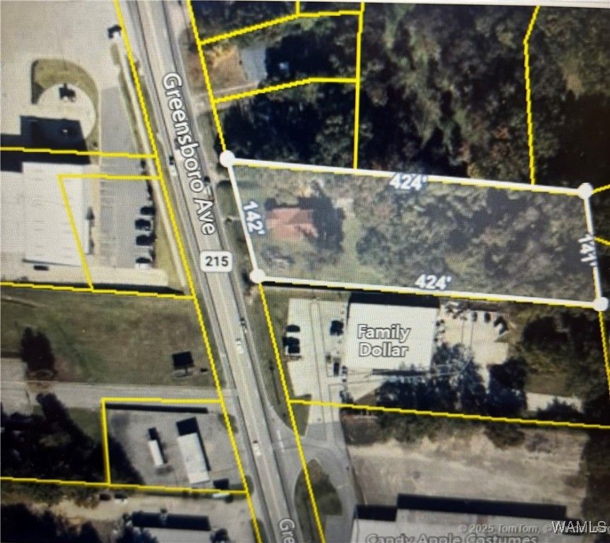 3841 Greensboro, Tuscaloosa, AL 35405