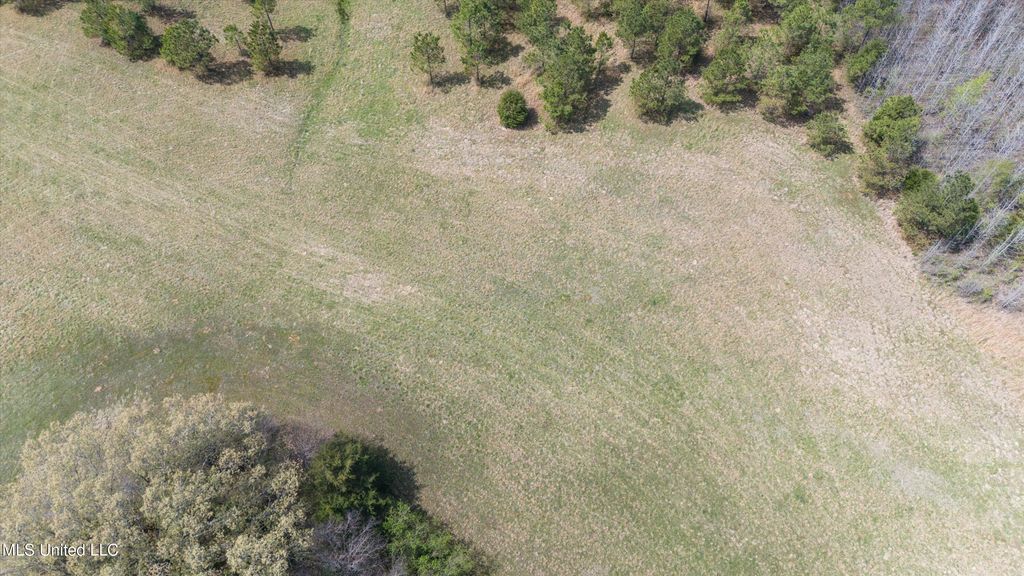 5727 S Watson Desoto Road, Byhalia, MS 38611 — photo 4