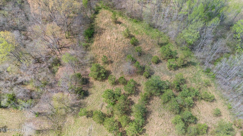 5727 S Watson Desoto Road, Byhalia, MS 38611 — photo 5
