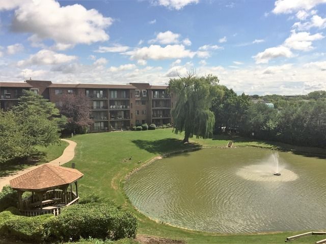 101 Old Oak Drive 216, Buffalo Grove, IL 60089