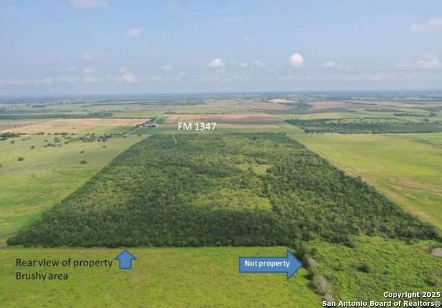 TRACT 4 Fm 1347, Stockdale, TX 78160