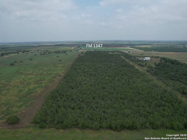 TRACT 4 Fm 1347, Stockdale, TX 78160