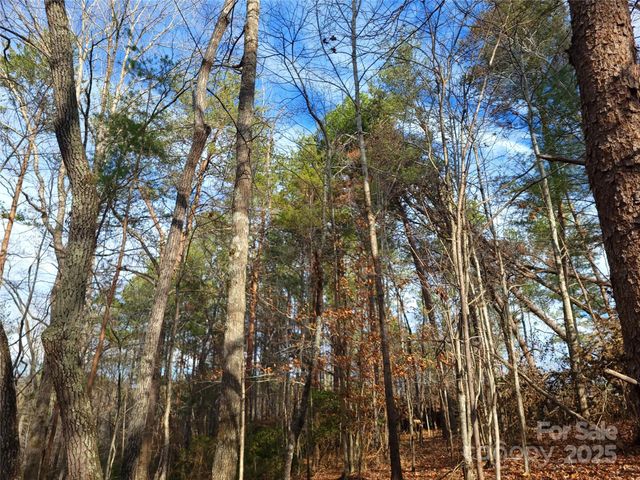 000 Skylark Lane 8, Tryon, NC 28782