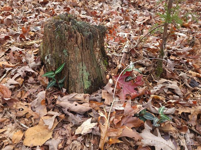 000 Skylark Lane 8, Tryon, NC 28782