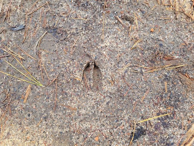 000 Skylark Lane 8, Tryon, NC 28782