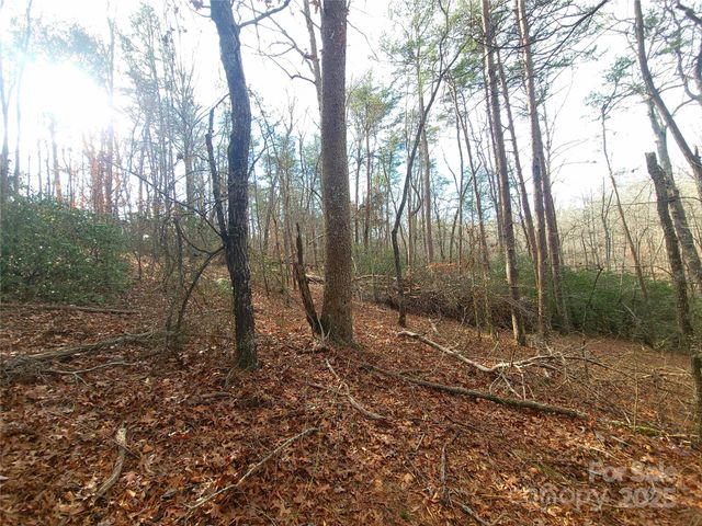 000 Skylark Lane 8, Tryon, NC 28782