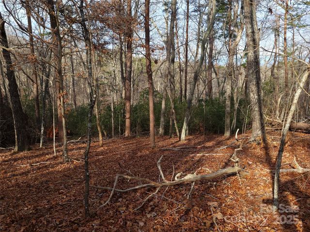 000 Skylark Lane 8, Tryon, NC 28782