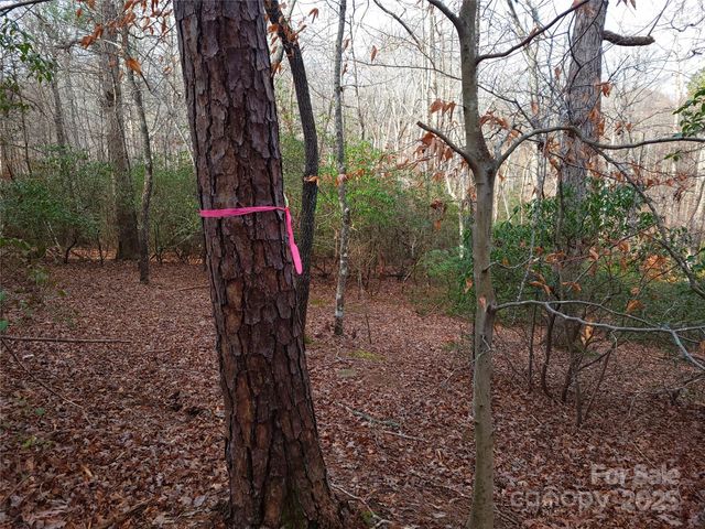 000 Skylark Lane 8, Tryon, NC 28782