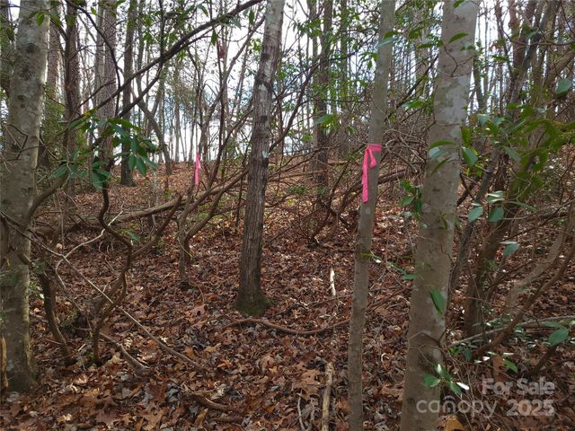 000 Skylark Lane 8, Tryon, NC 28782