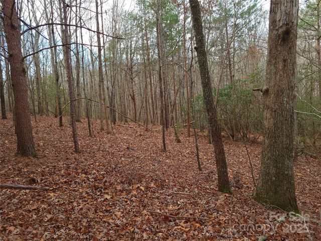 000 Skylark Lane 8, Tryon, NC 28782