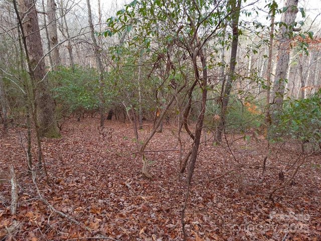 000 Skylark Lane 8, Tryon, NC 28782