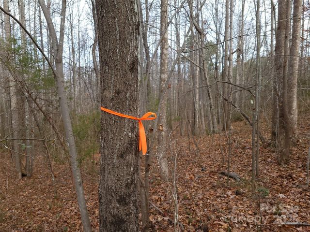 000 Skylark Lane 8, Tryon, NC 28782