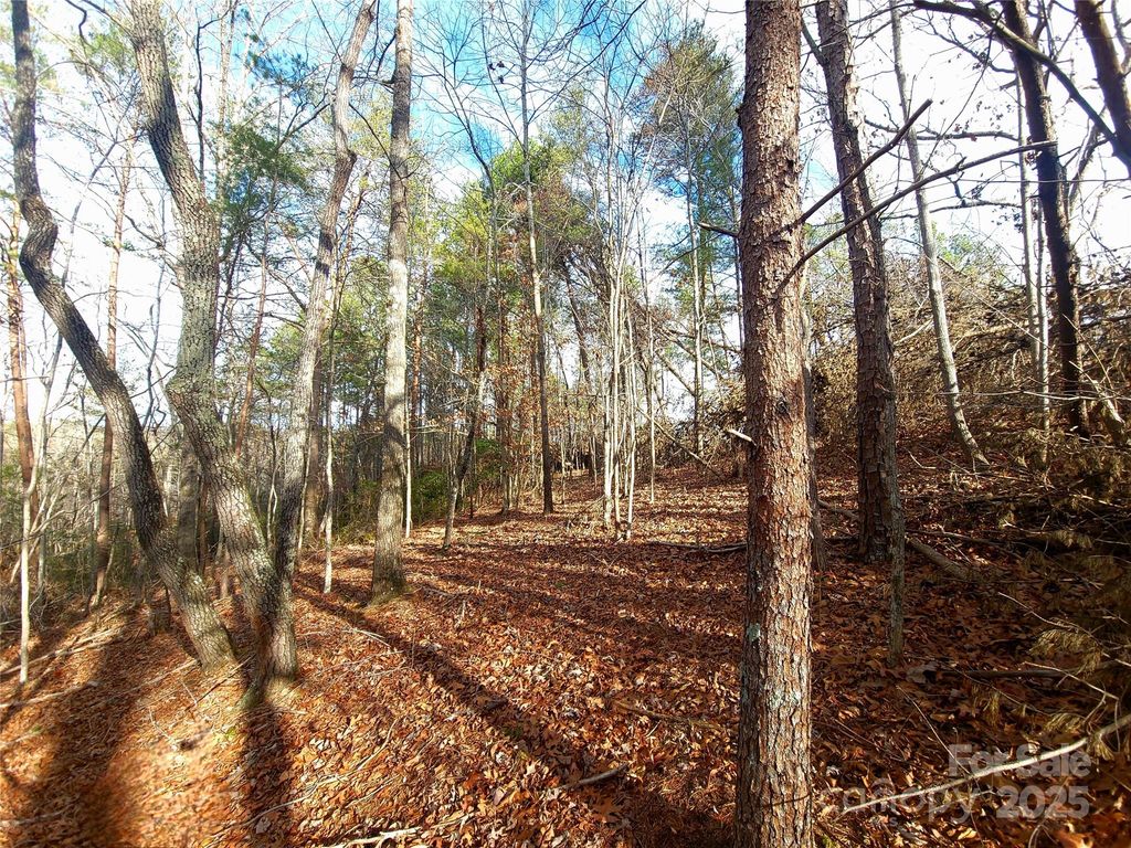 000 Skylark Lane 8, Tryon, NC 28782