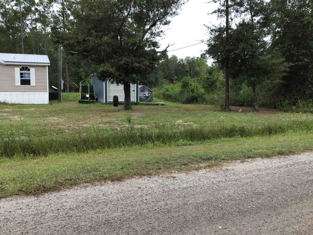 10665 Dillon Ave, Hastings, FL 32145