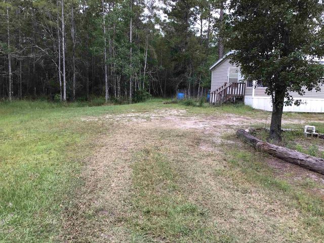 10665 Dillon Ave, Hastings, FL 32145