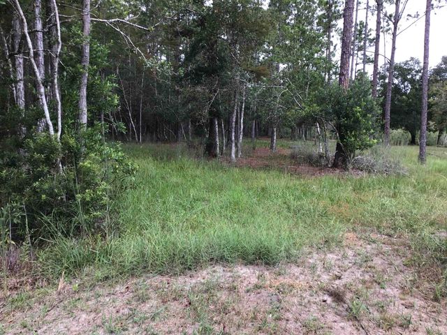 10665 Dillon Ave, Hastings, FL 32145