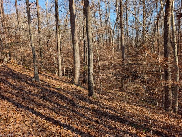 160 Tabernacle Church Road, Trinity, NC 27370