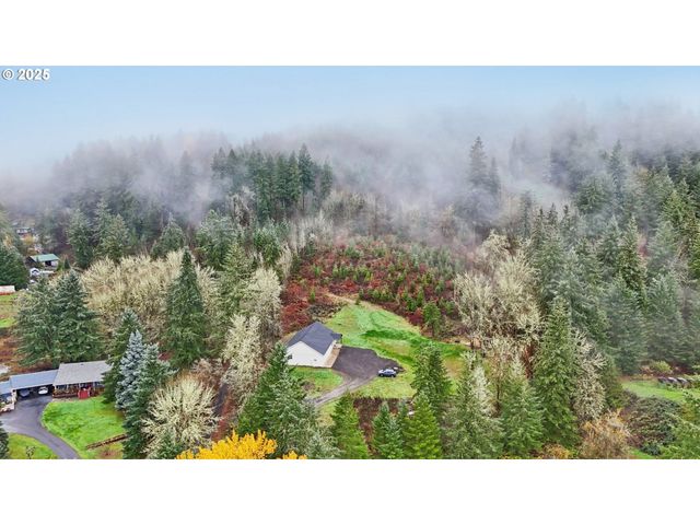111 FINN HALL Rd, Woodland, WA 98674