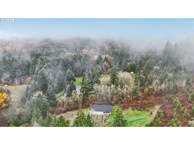 111 FINN HALL Rd, Woodland, WA 98674
