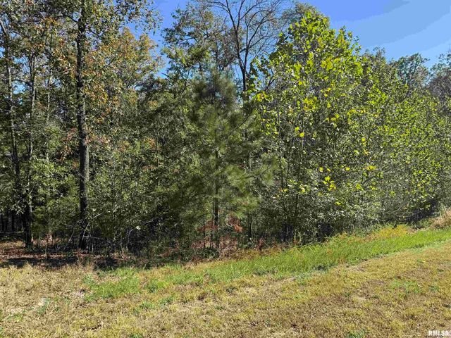 0000 Clifty Lane, Goreville, IL 62939