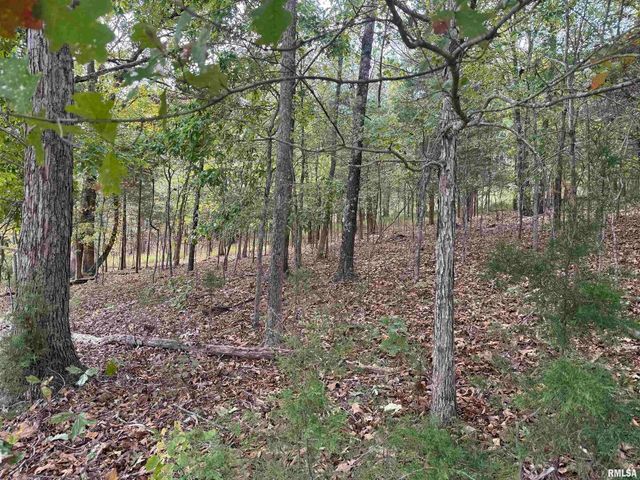 0000 Clifty Lane, Goreville, IL 62939