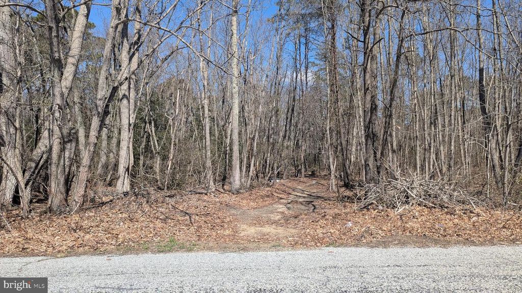 0 COOL RUN RD, Bridgeton, NJ 08302