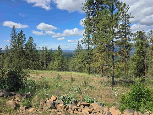 6607 Stony Way, Nine Mile Falls, WA 99027