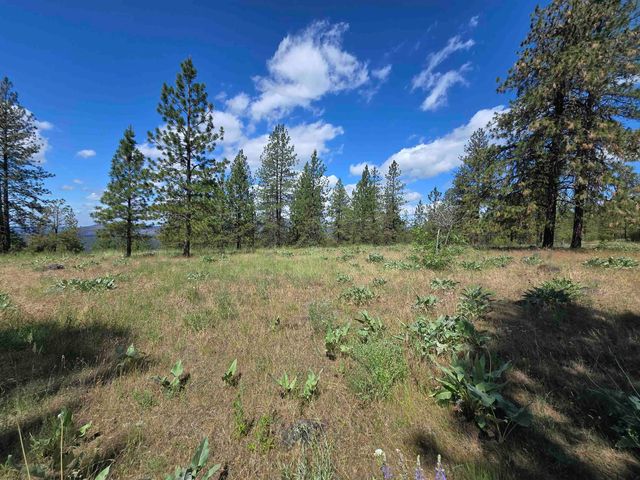 6607 Stony Way, Nine Mile Falls, WA 99027