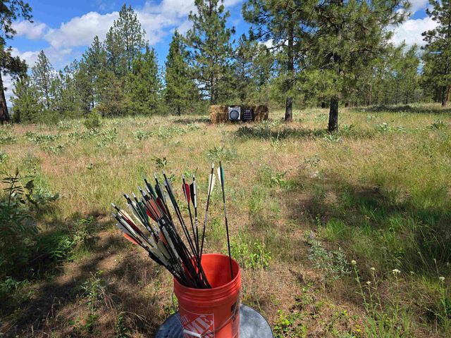 6607 Stony Way, Nine Mile Falls, WA 99027