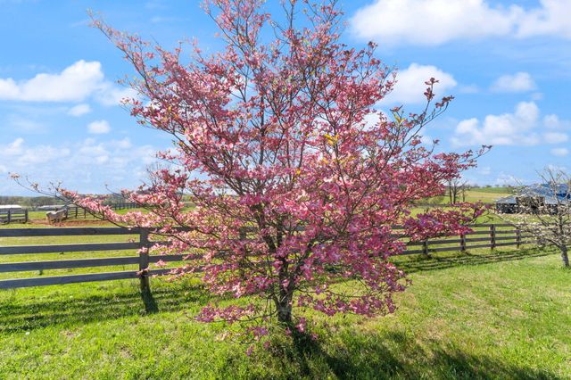 4211 Old Bull Road, Eubank, KY 42567