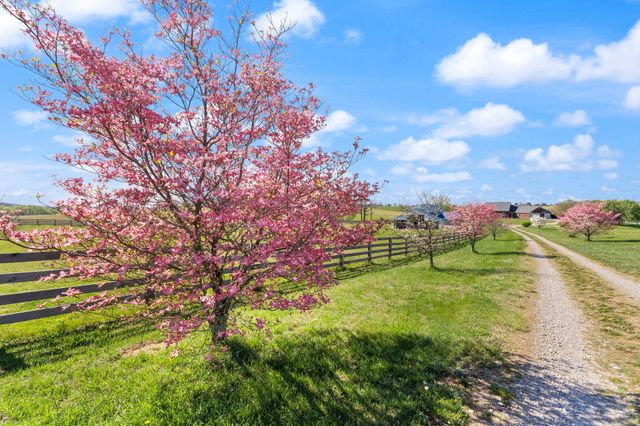 4211 Old Bull Road, Eubank, KY 42567