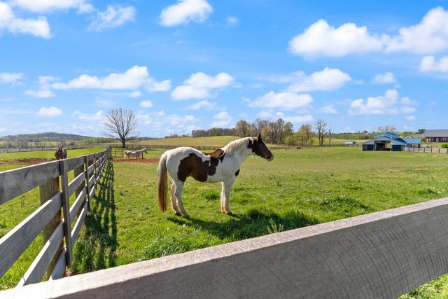 4211 Old Bull Road, Eubank, KY 42567