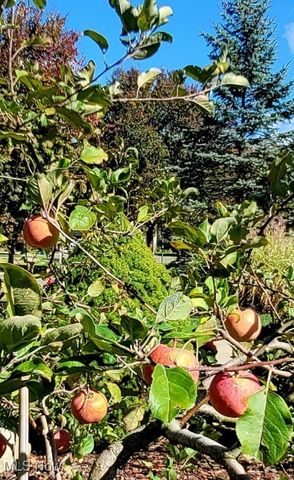 1830 Parker Lane, Twinsburg, OH 44087