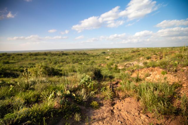 20700 MURRAY Loop, Amarillo, TX 79124