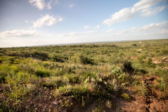 20700 MURRAY Loop, Amarillo, TX 79124