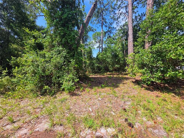1255 MYRA COURT, Deltona, FL 32738