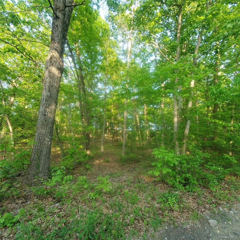15 Rose Hill Road, Monroe, NY 10950 — photo 4