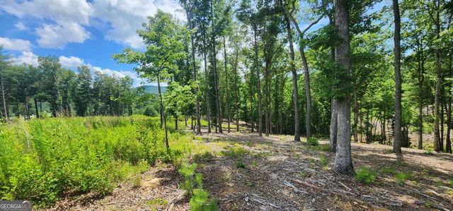 LT 106 Split Creek Road 106, Morganton, GA 30560
