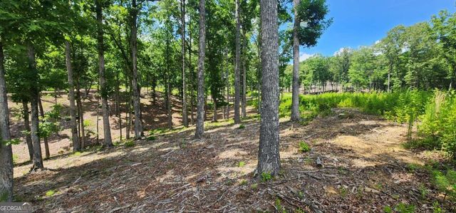 LT 106 Split Creek Road 106, Morganton, GA 30560