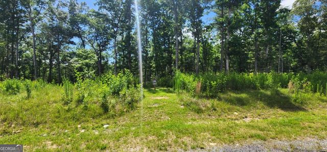 LT 106 Split Creek Road 106, Morganton, GA 30560