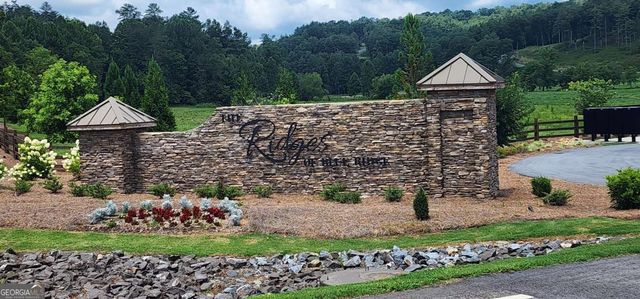 LT 106 Split Creek Road 106, Morganton, GA 30560