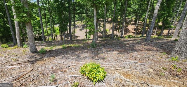 LT 106 Split Creek Road 106, Morganton, GA 30560