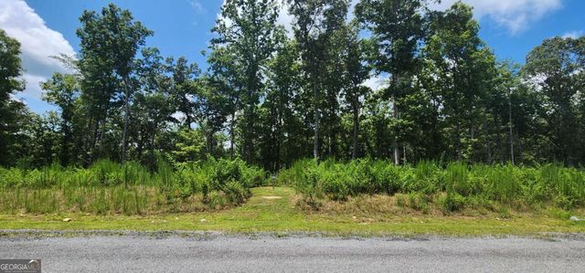 LT 106 Split Creek Road 106, Morganton, GA 30560
