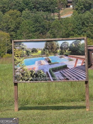 LT 106 Split Creek Road 106, Morganton, GA 30560