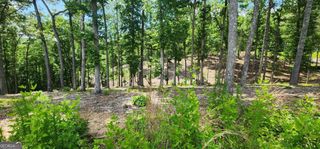 LT 106 Split Creek Road 106, Morganton, GA 30560