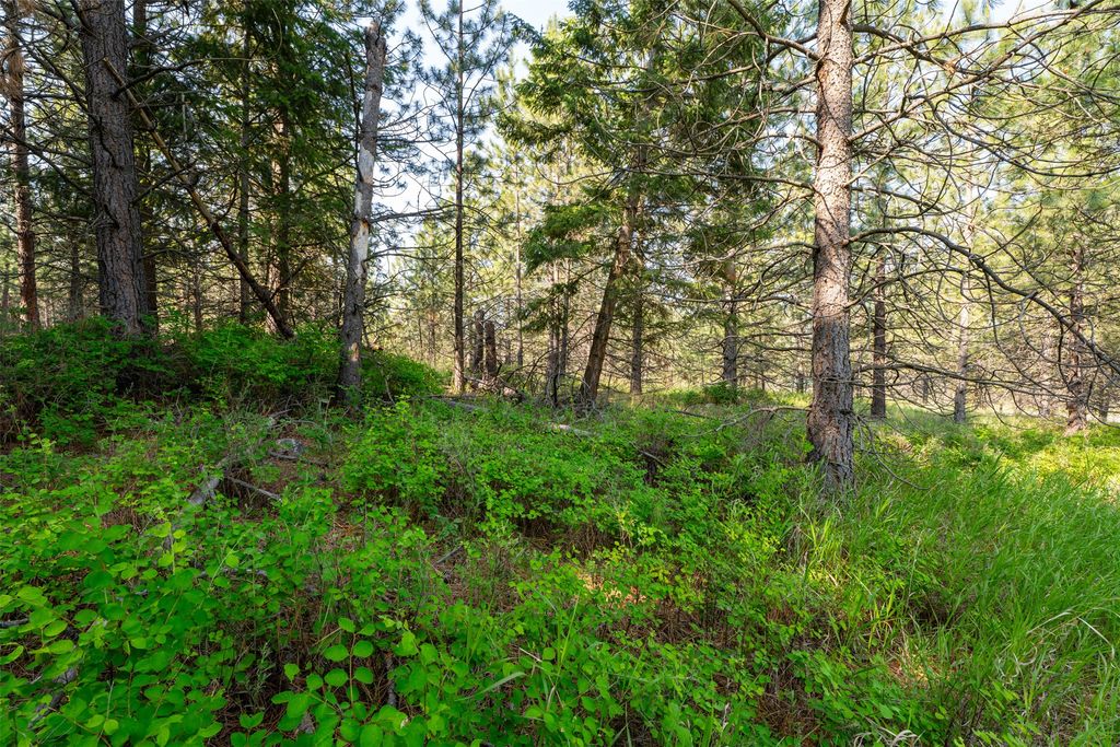 23400 Us Highway 93 N, Arlee, MT 59821 photo 15