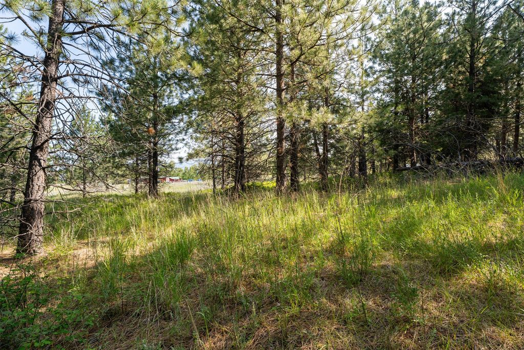 23400 Us Highway 93 N, Arlee, MT 59821 photo 8