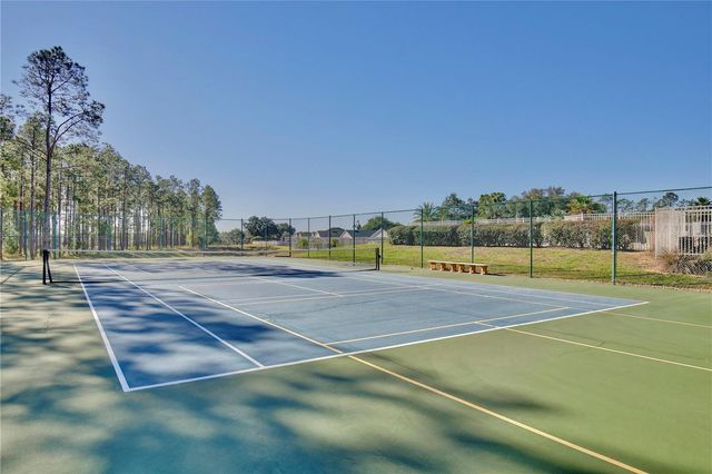 835 BIRKDALE STREET, Davenport, FL 33897