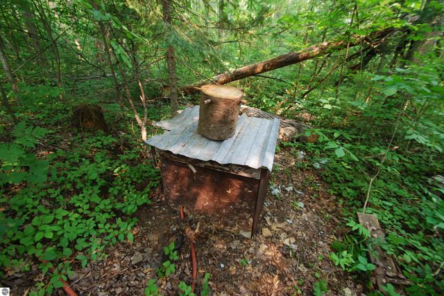 2120 Andys Lane, Beaverton, MI 48612